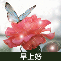 表情包