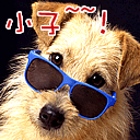表情包