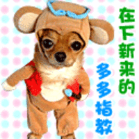 表情包