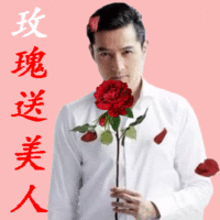 表情包