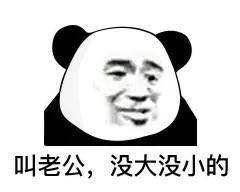 表情包 – 高清 GIF表情包 开放版权素材 免费下载 聊天斗图素材