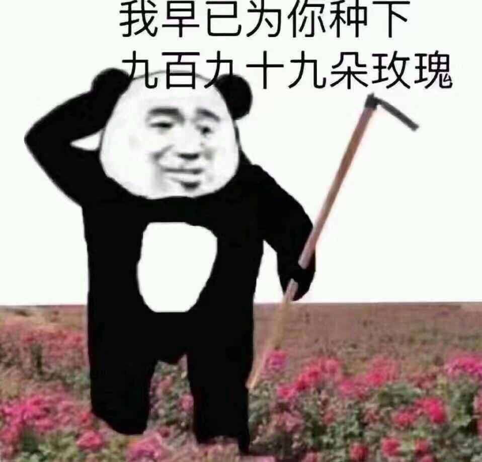 表情包
