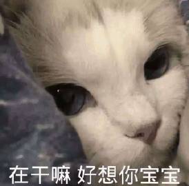 表情包