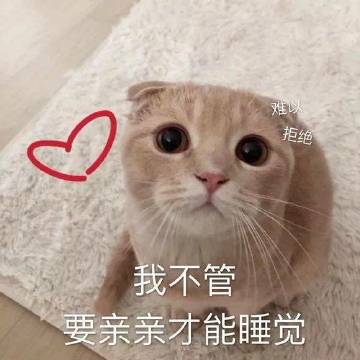 表情包 – 高清 GIF表情包 开放版权素材 免费下载 聊天斗图素材