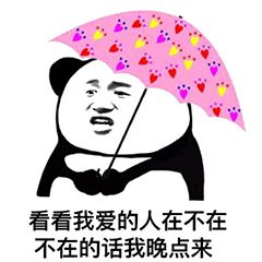 表情包