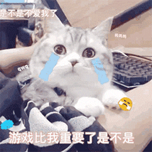 表情包