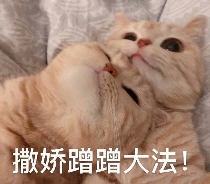 表情包