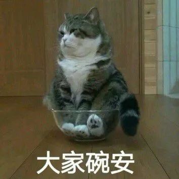 表情包