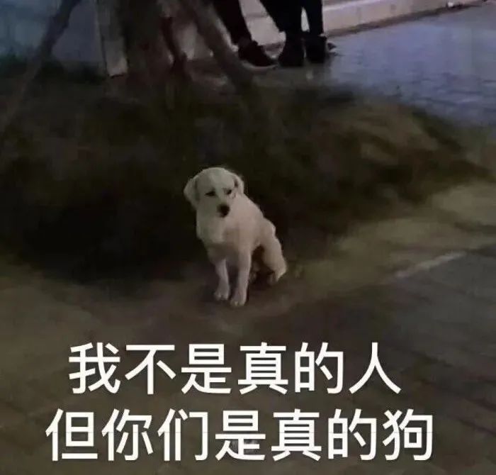 表情包