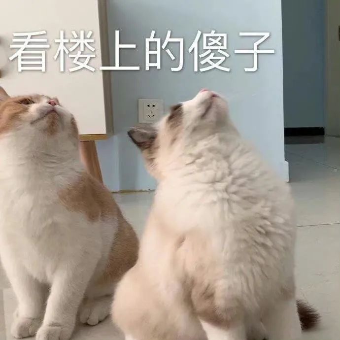 表情包