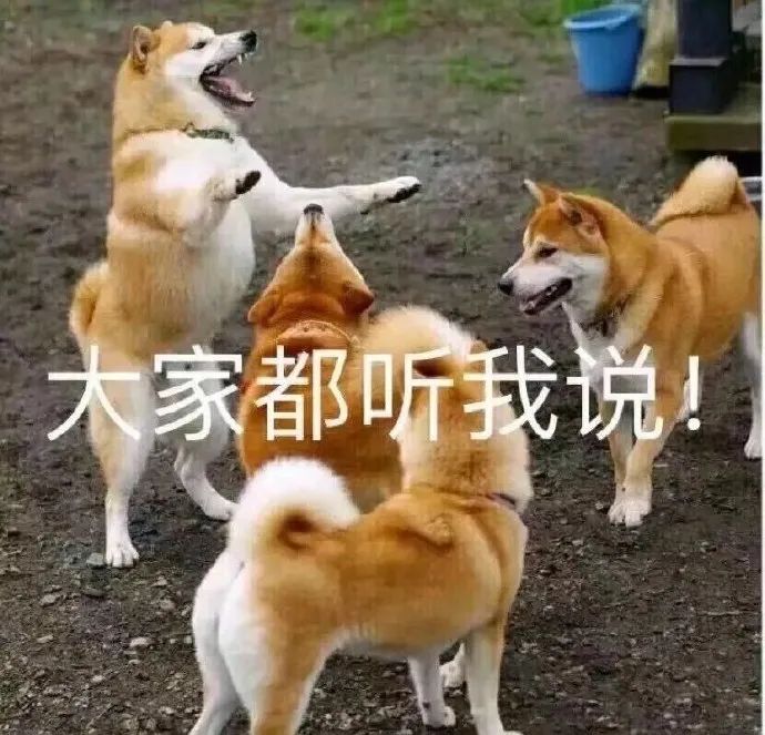 表情包 – 高清 GIF表情包 开放版权素材 免费下载 聊天斗图素材