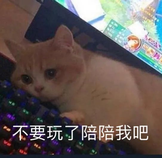 表情包