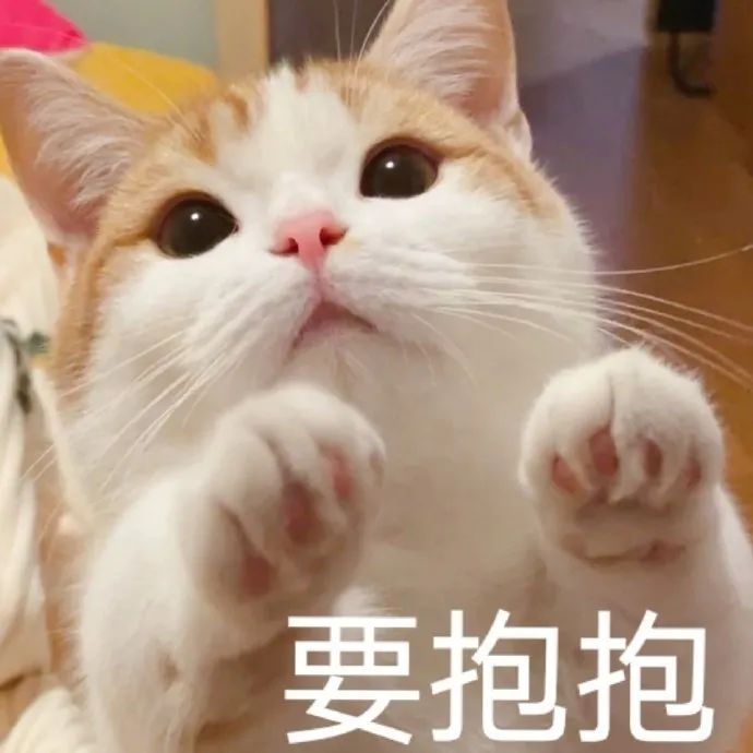表情包