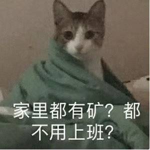 表情包