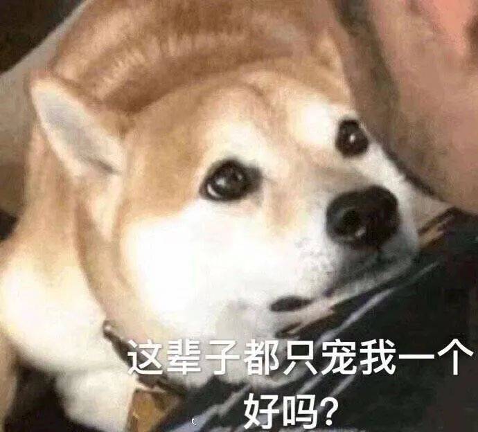 表情包