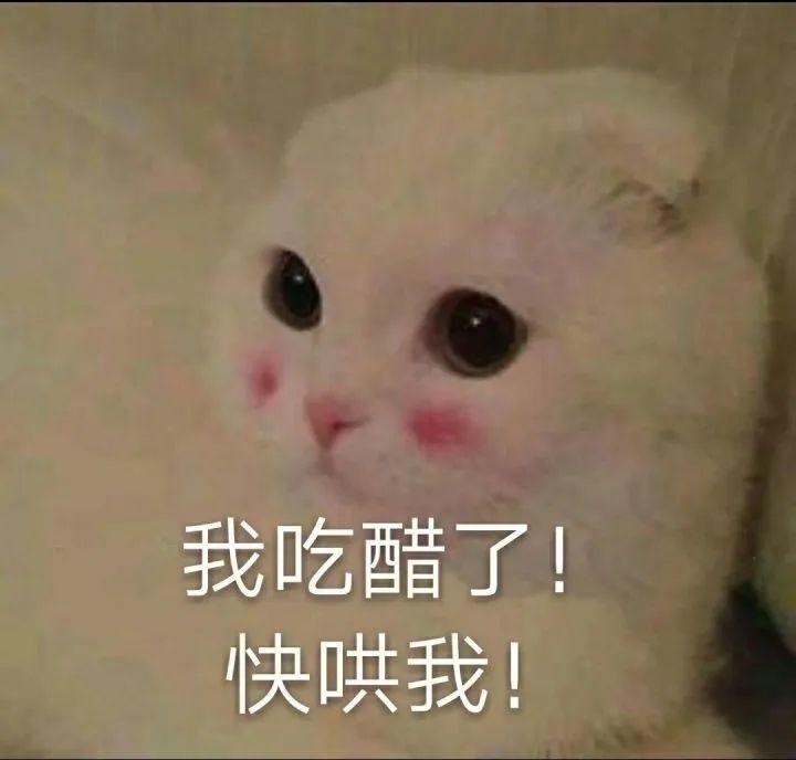 表情包