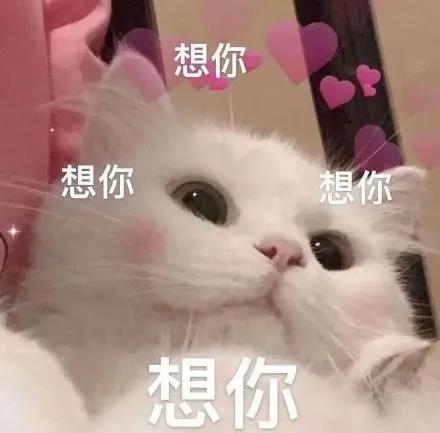 表情包