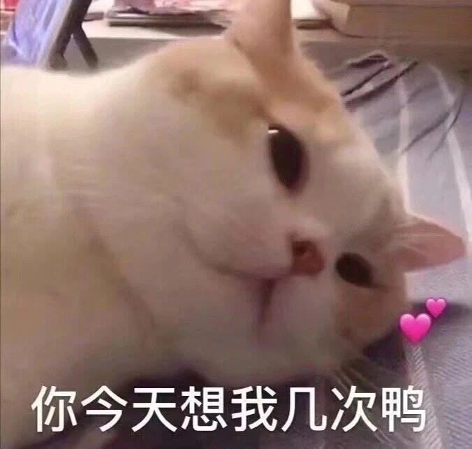 表情包 – 高清 GIF表情包 开放版权素材 免费下载 聊天斗图素材