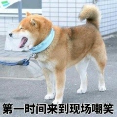 表情包