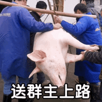 表情包