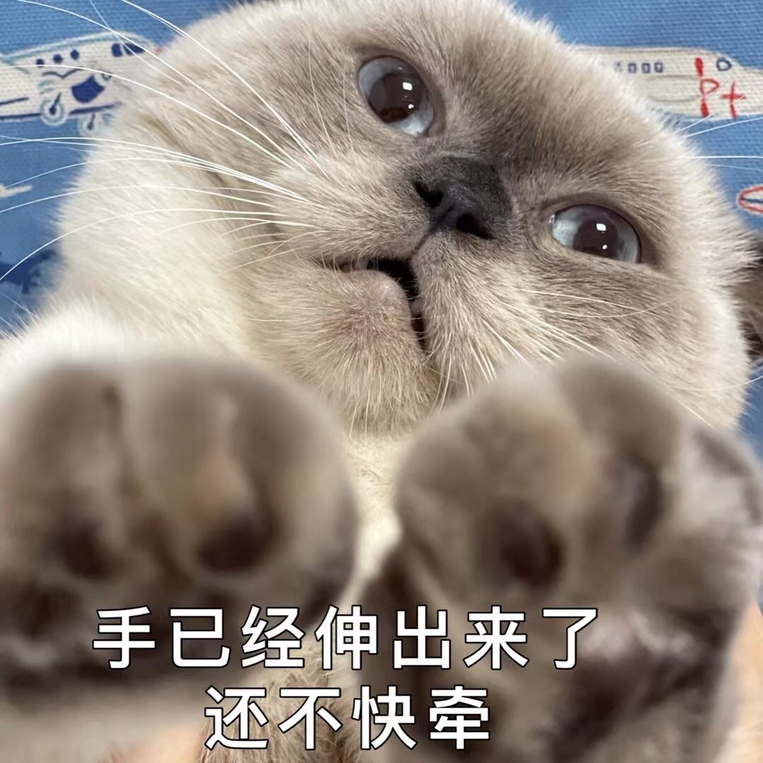 表情包