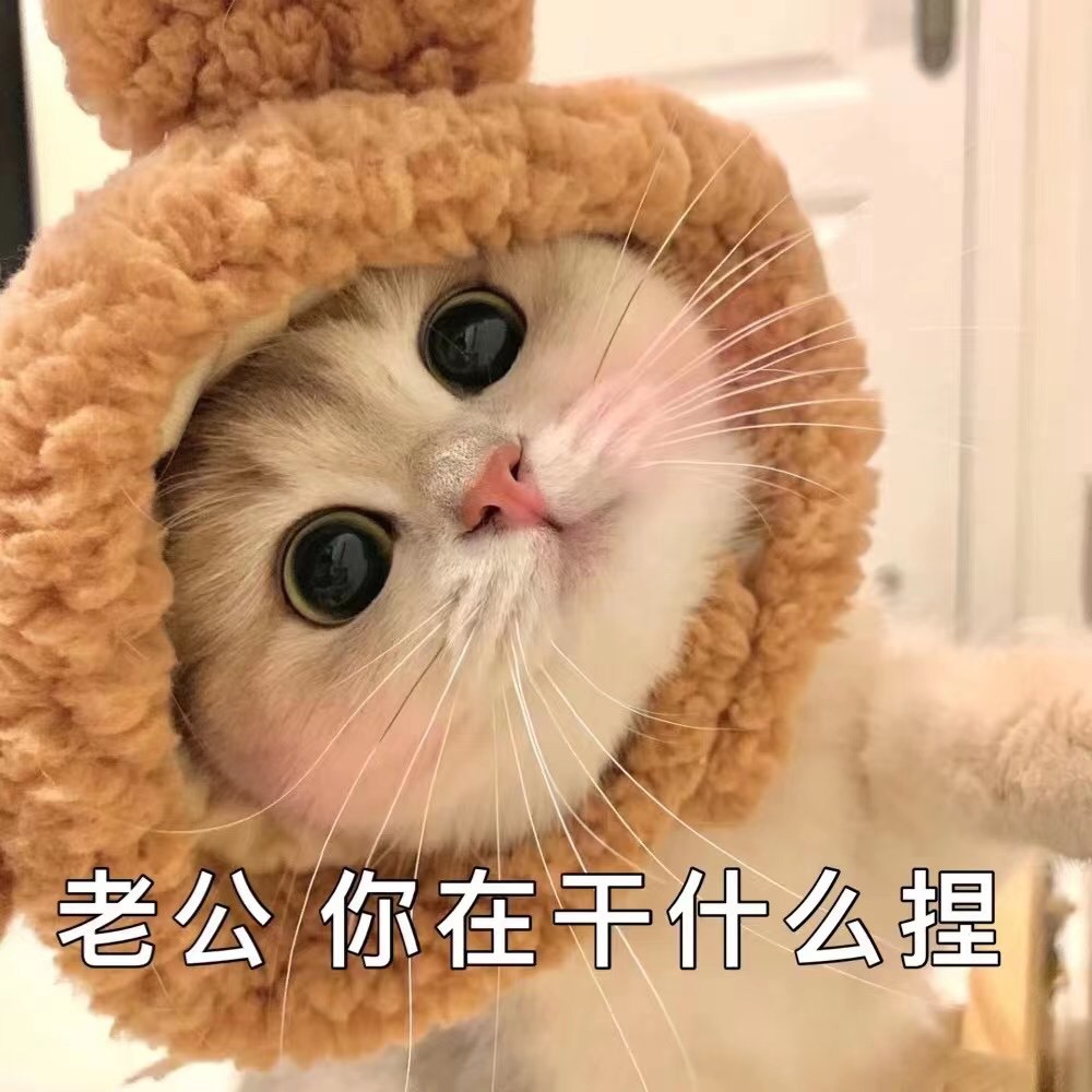表情包