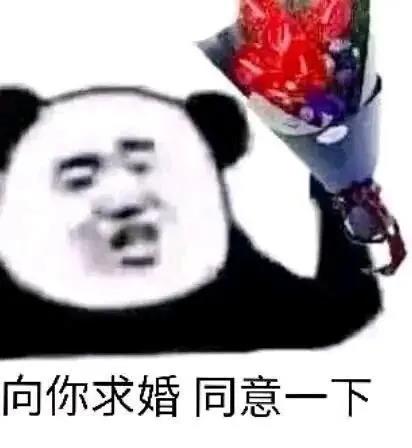 表情包