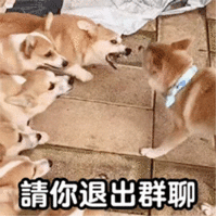 APP下载二维码