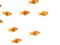 表情包