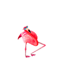表情包