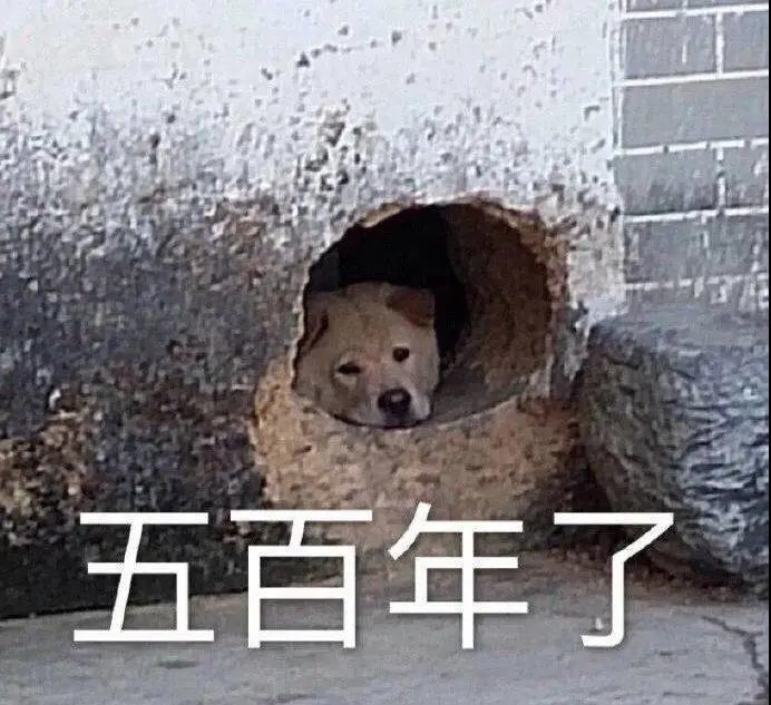 表情包