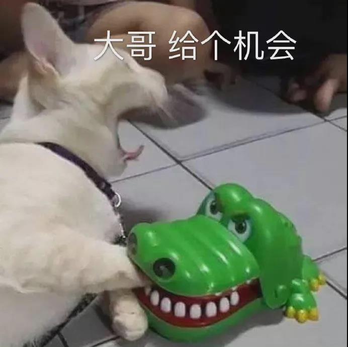 表情包