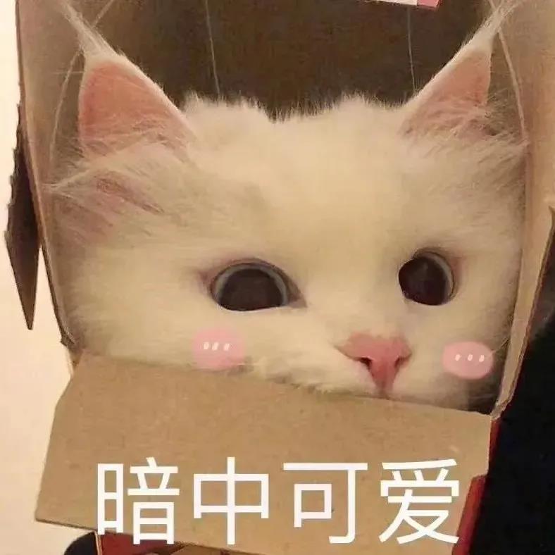 表情包