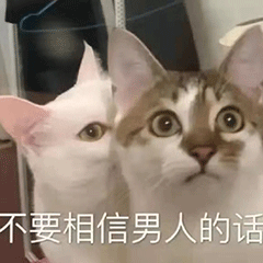 表情包 – 高清 GIF表情包 开放版权素材 免费下载 聊天斗图素材