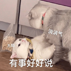 表情包 – 高清 GIF表情包 开放版权素材 免费下载 聊天斗图素材