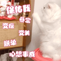 表情包 – 高清 GIF表情包 开放版权素材 免费下载 聊天斗图素材
