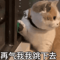 表情包
