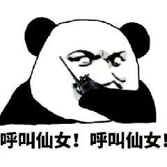 表情包