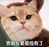 表情包
