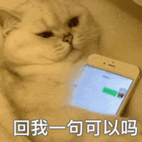 表情包 – 高清 GIF表情包 开放版权素材 免费下载 聊天斗图素材