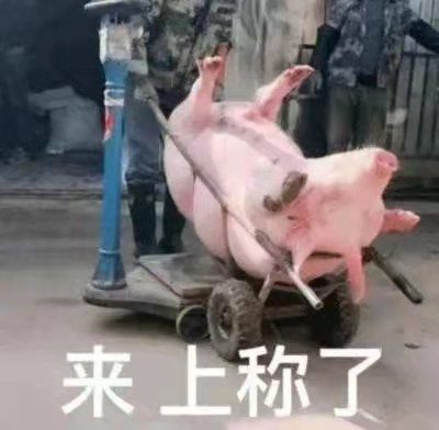 表情包