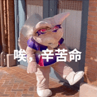 表情包 – 高清 GIF表情包 开放版权素材 免费下载 聊天斗图素材