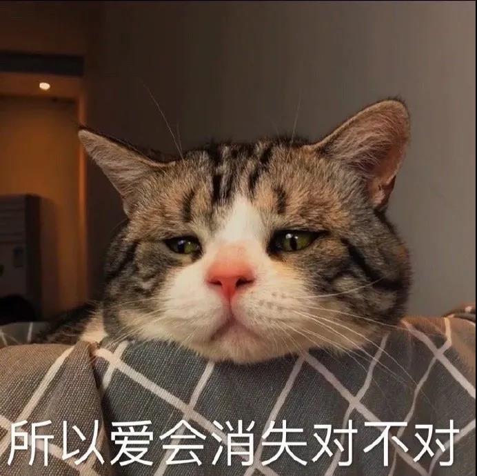 表情包 – 高清 GIF表情包 开放版权素材 免费下载 聊天斗图素材