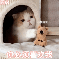 表情包 – 高清 GIF表情包 开放版权素材 免费下载 聊天斗图素材