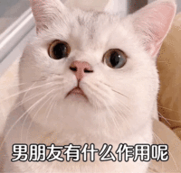 登录广告