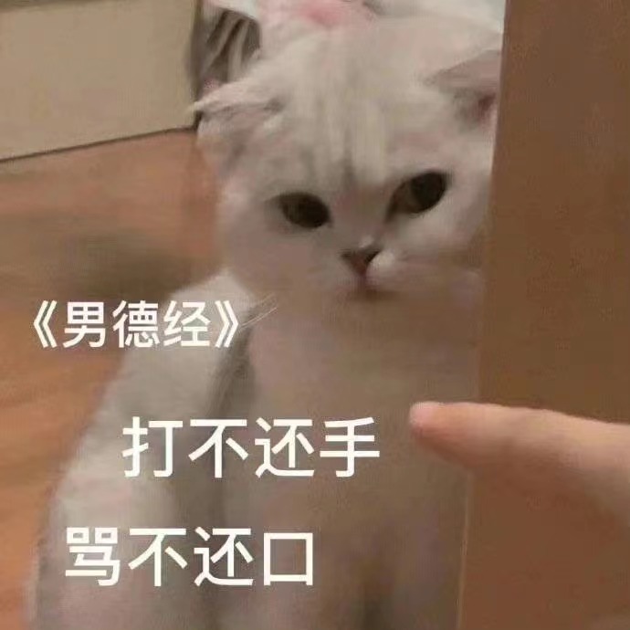 表情包 – 高清 GIF表情包 开放版权素材 免费下载 聊天斗图素材