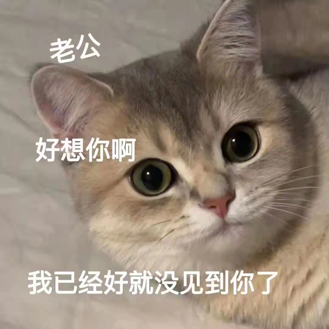 表情包