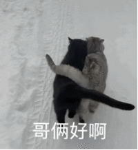 表情包