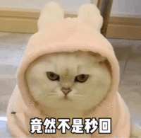 表情包 – 高清 GIF表情包 开放版权素材 免费下载 聊天斗图素材