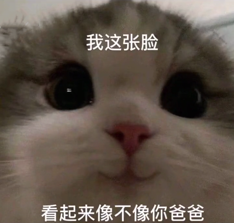 表情包